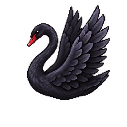 Black swan · Wing movement / 1