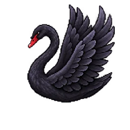 Black swan