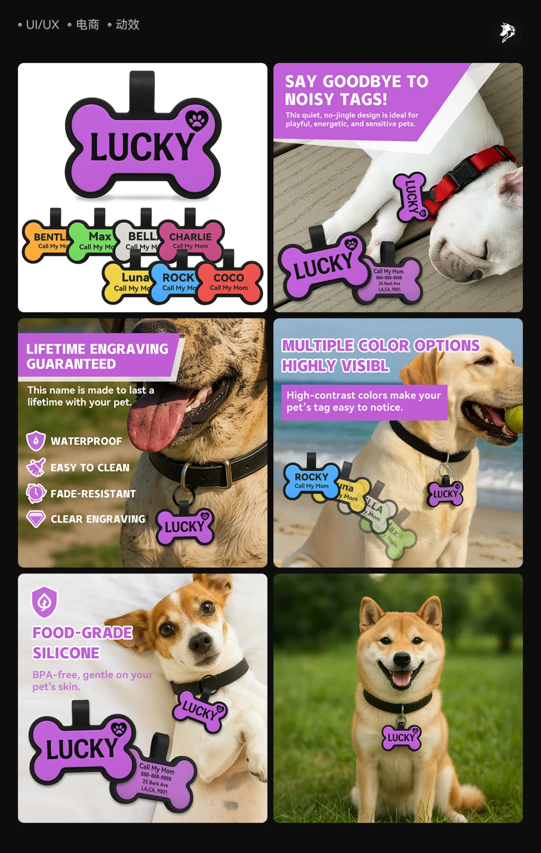 Custom pet tags: colour options and wearing scenes