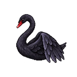 Black swan · Wing movement / 4