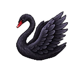 Black swan · Wing movement / 2